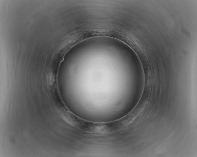 X0000115810173200911131428