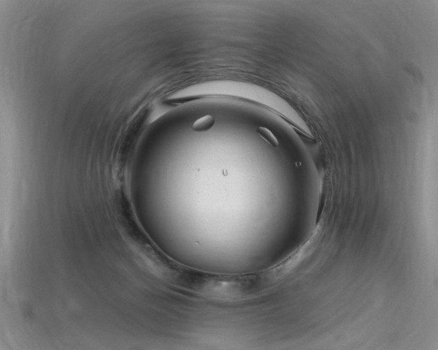 X0000115810174200911131428