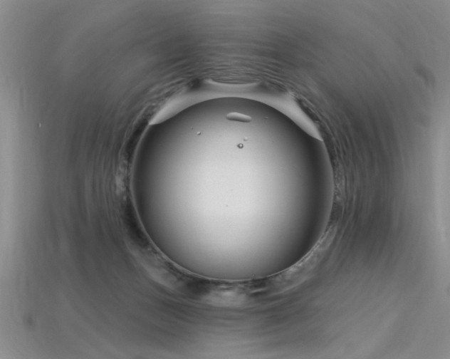 X0000115810175200911131428
