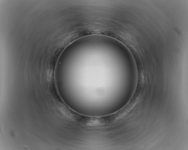 X0000115810177200911131428