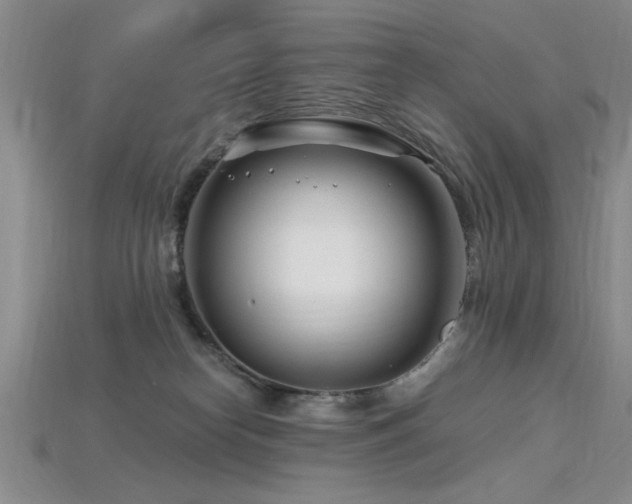 X0000115810182200911131428