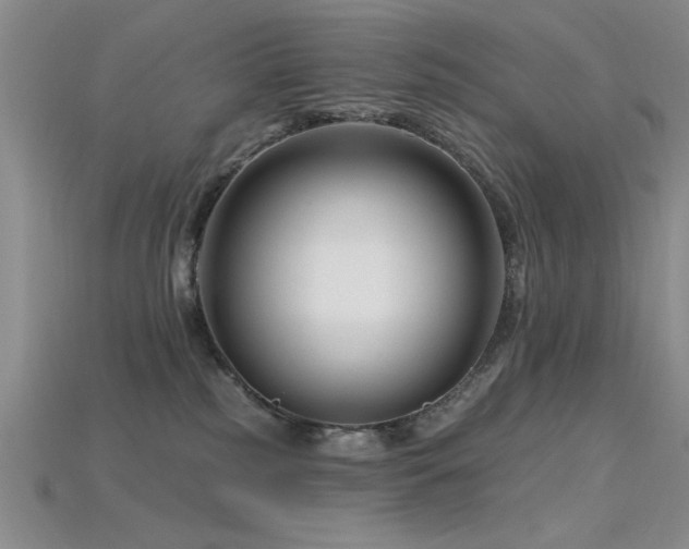 X0000115810185200911131428