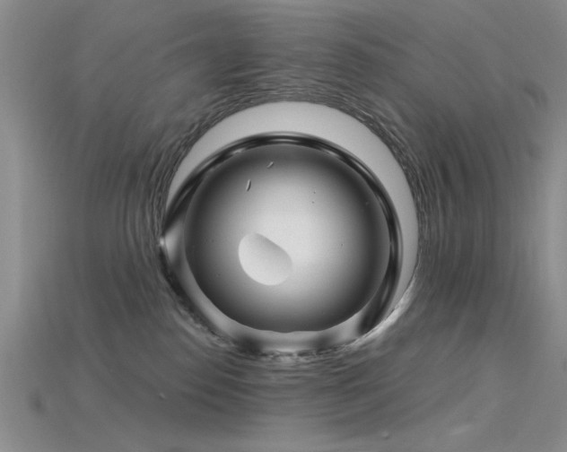 X0000115810186200911131428