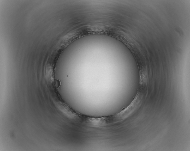 X0000115810187200911131428