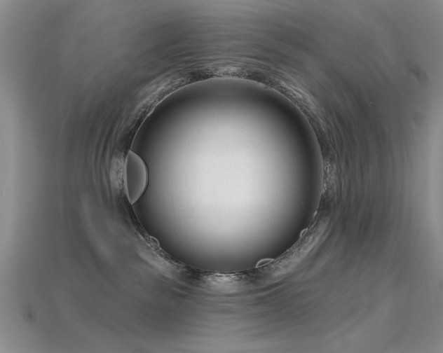 X0000115810189200911131428