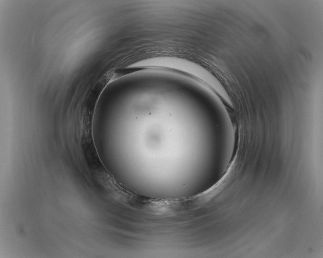 X0000115810190200911131428
