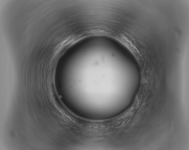 X0000115810193200911131427