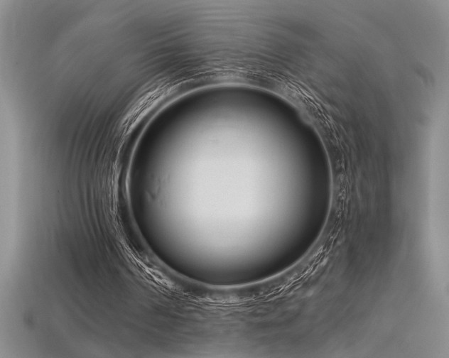 X0000115810194200911131427