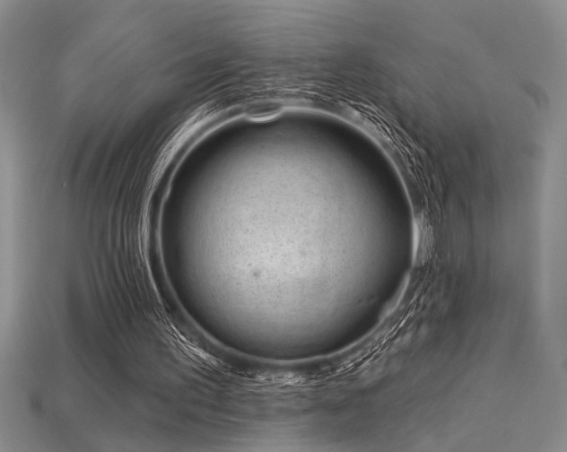 X0000115810195200911131427