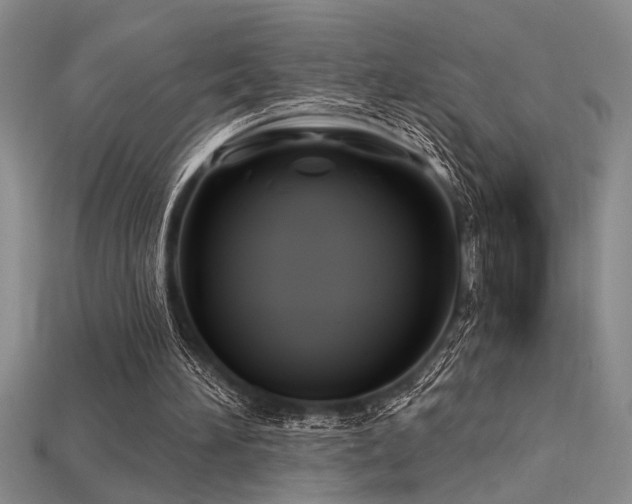 X0000115810196200911131427