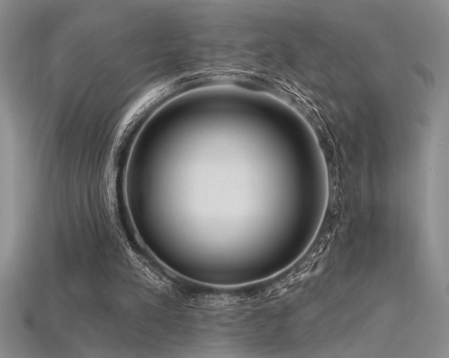 X0000115810197200911131427