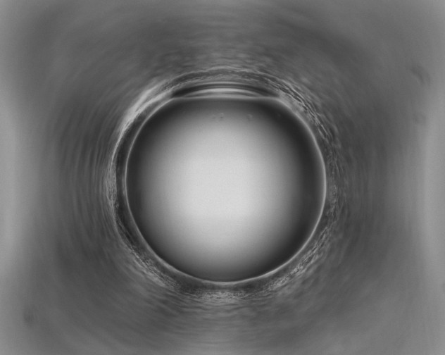 X0000115810198200911131427