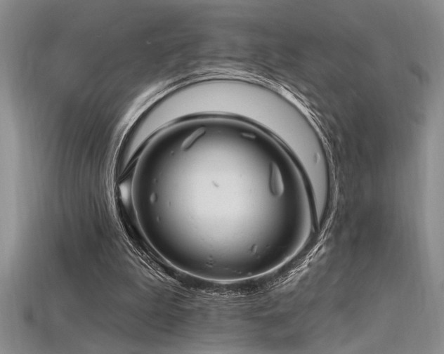 X0000115810199200911131427