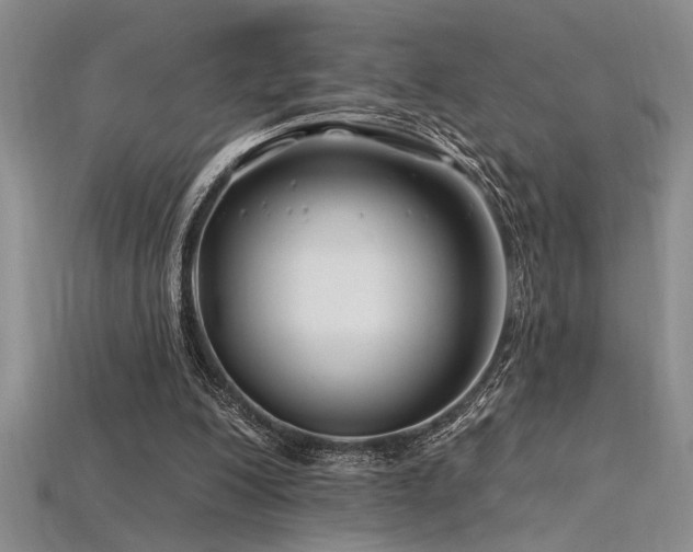 X0000115810200200911131427