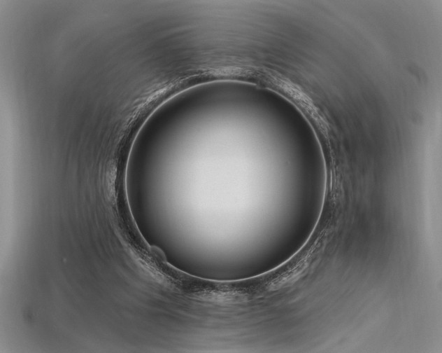 X0000115810201200911131427