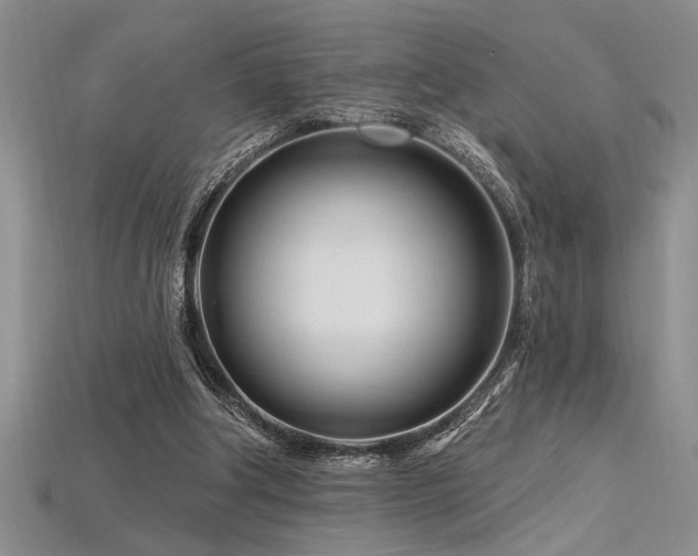 X0000115810202200911131427