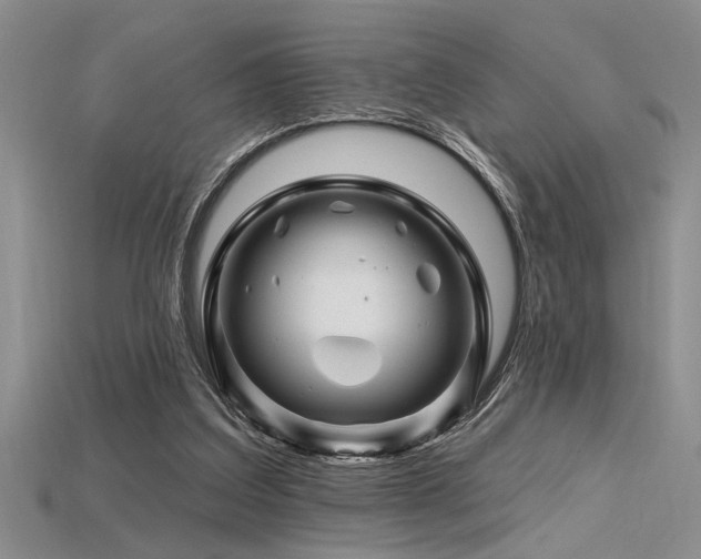 X0000115810203200911131427
