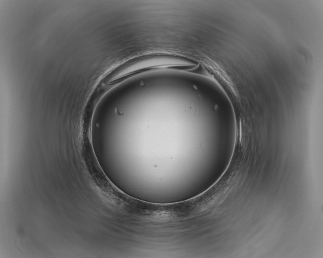 X0000115810204200911131427