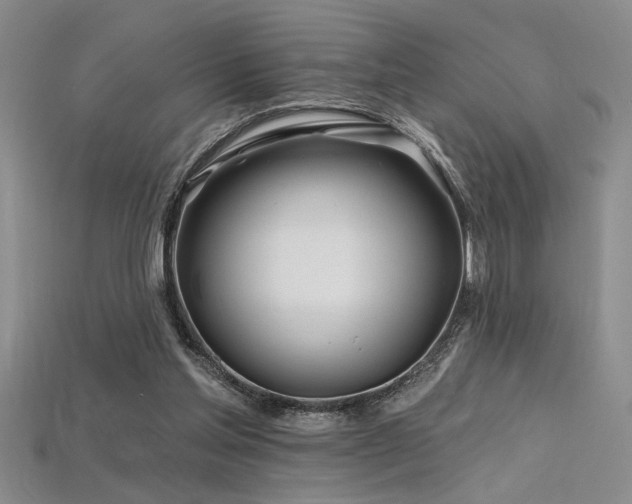 X0000115810205200911131427