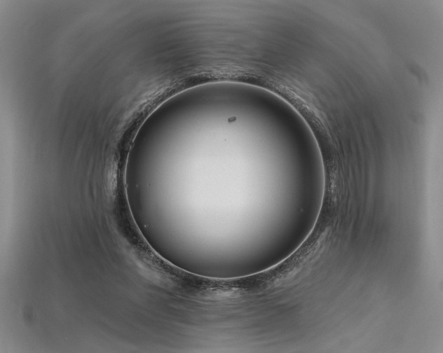 X0000115810206200911131427