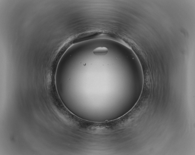 X0000115810208200911131427