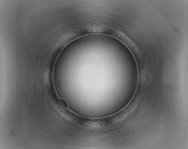 X0000115810209200911131427