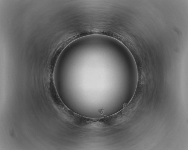 X0000115810210200911131427