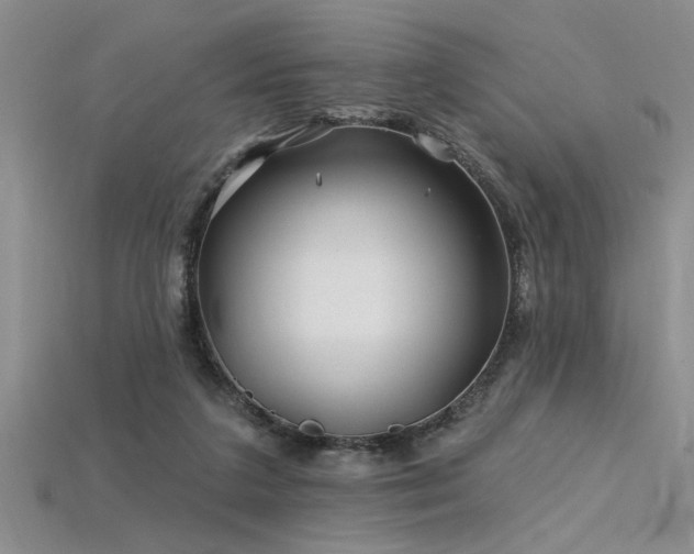 X0000115810211200911131427