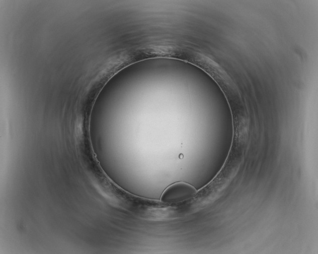 X0000115810213200911131427