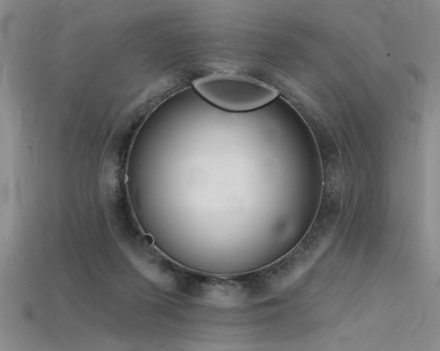 X0000115810215200911131427