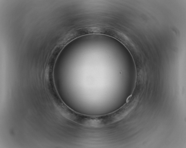 X0000115810217200911131427