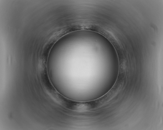 X0000115810218200911131427