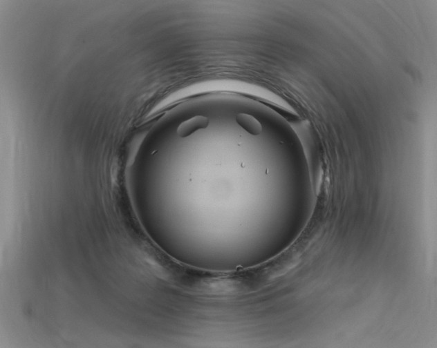 X0000115810219200911131427