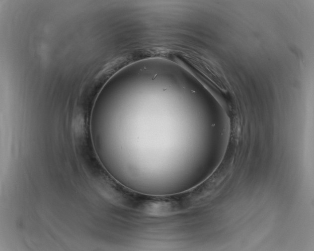 X0000115810220200911131427