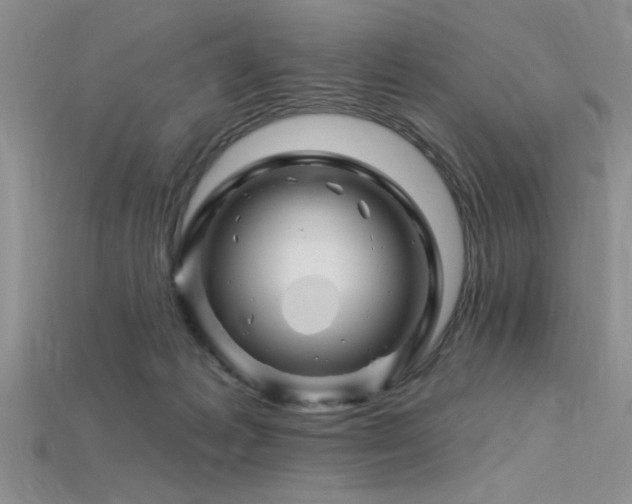 X0000115810221200911131427
