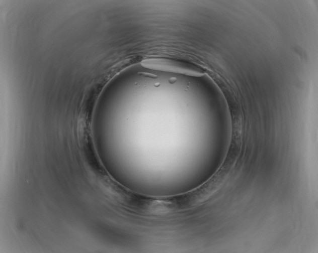 X0000115810222200911131427