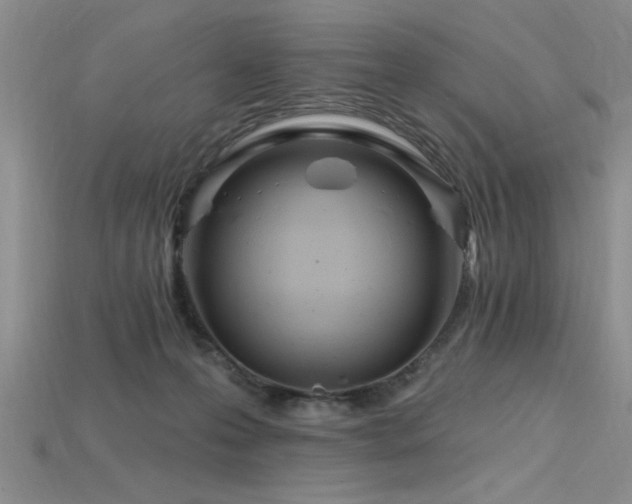 X0000115810223200911131427