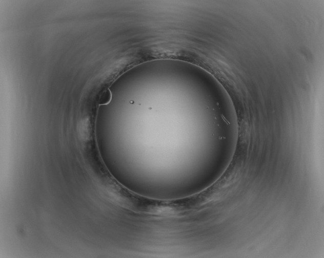 X0000115810224200911131427