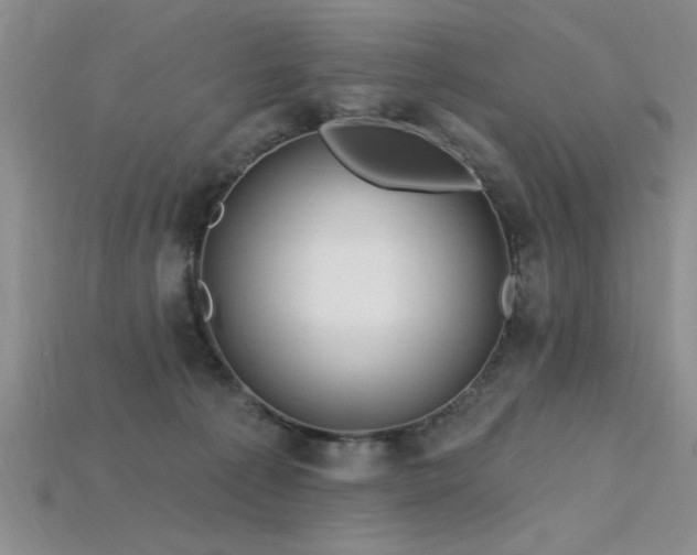 X0000115810225200911131427