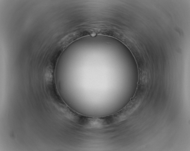 X0000115810226200911131427