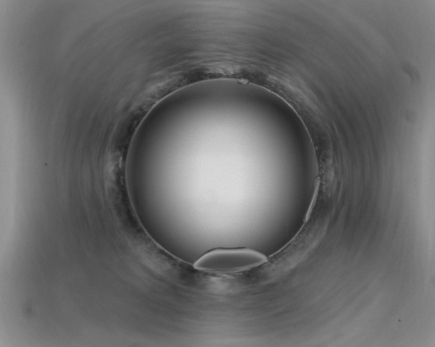 X0000115810229200911131427