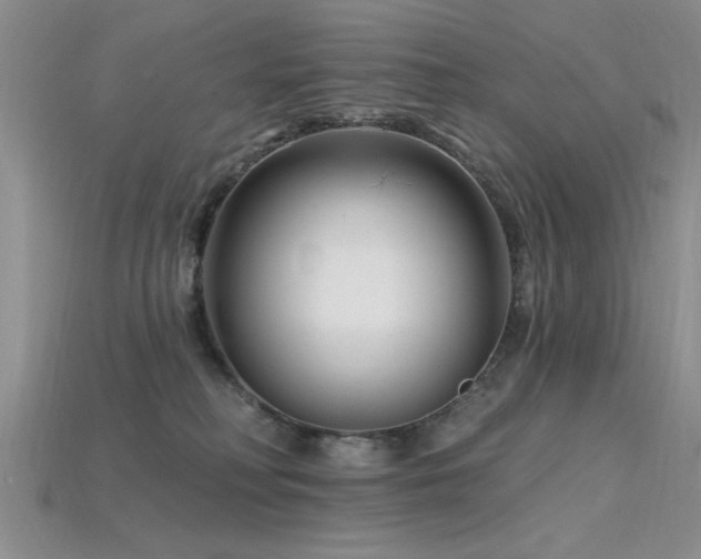 X0000115810230200911131427