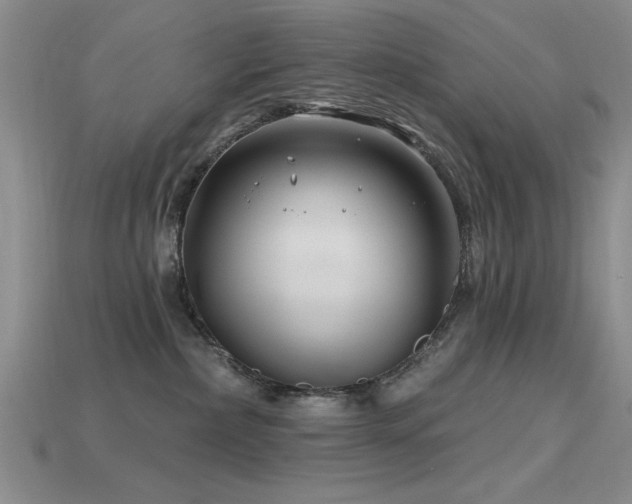X0000115810236200911131427