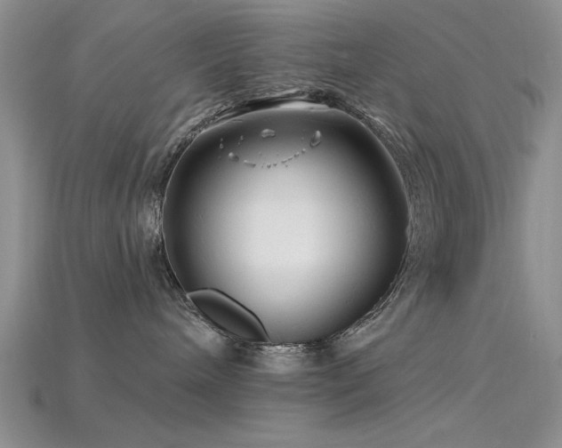 X0000115810240200911131427