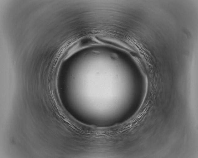 X0000115810241200911131426