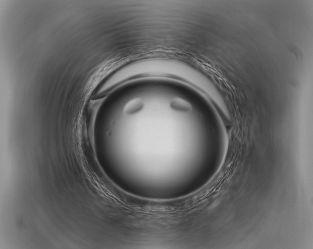 X0000115810242200911131426