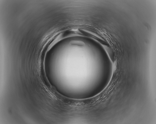 X0000115810243200911131426