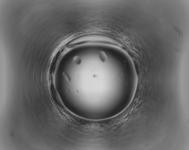 X0000115810244200911131426