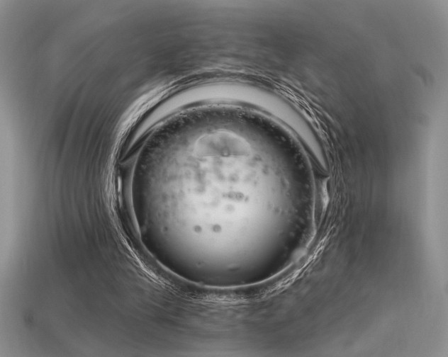 X0000115810245200911131426
