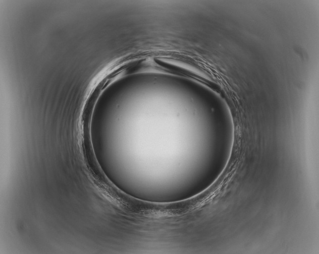 X0000115810246200911131426